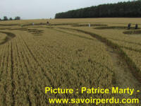 Avebury Stone Circle, Wiltshire crop circle, aerial photo 86